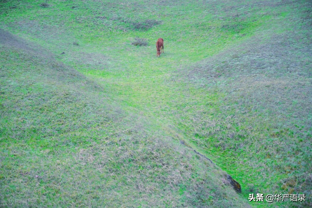 金钱可以买来人心却买不来,金钱真的可以收买感情吗
