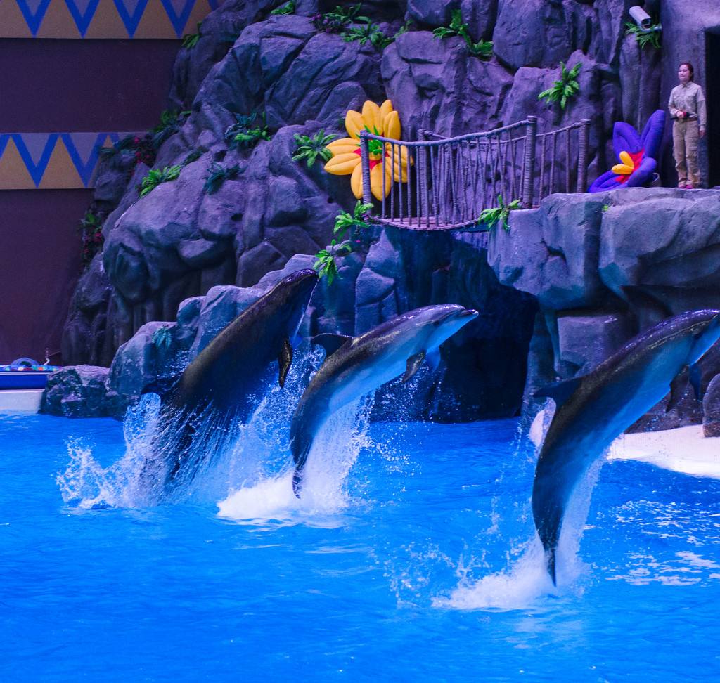 珠海旅游十大景点推荐一下,珠海当季旅游景点推荐