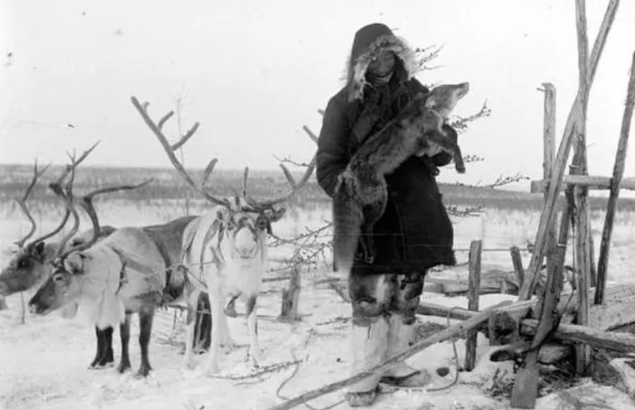 俄罗斯为什么要去西伯利亚 (俄罗斯为什么要征服西伯利亚)