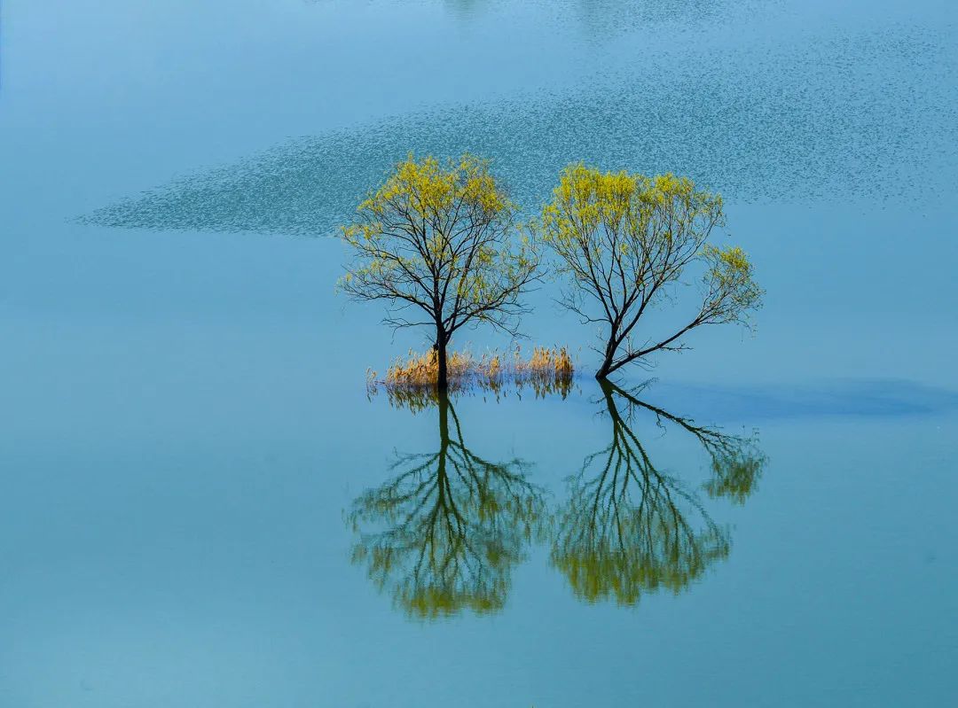 迎接党的20大美术作品,喜迎二十大乡村摄影展