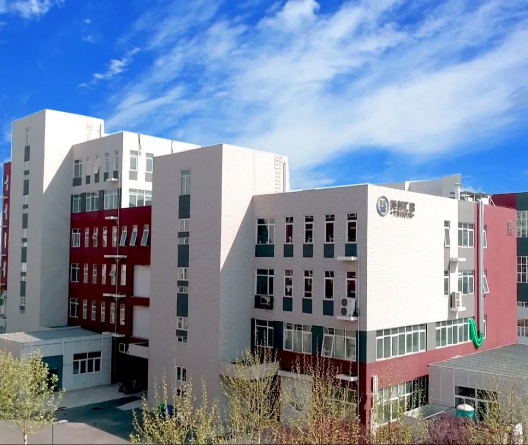 我与武清共赴春天