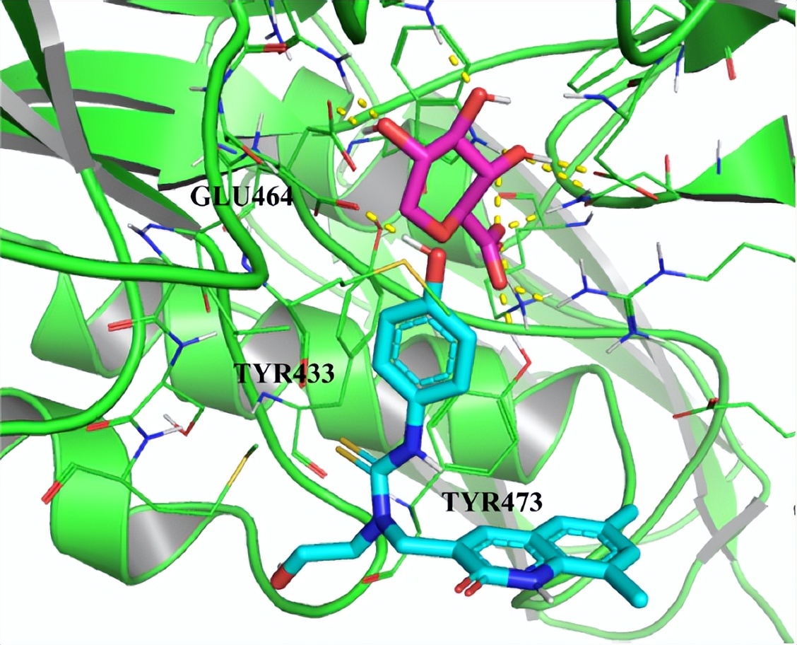 JCIM|虚拟筛选发现微生物组β-葡萄糖醛酸酶*制剂抑**
