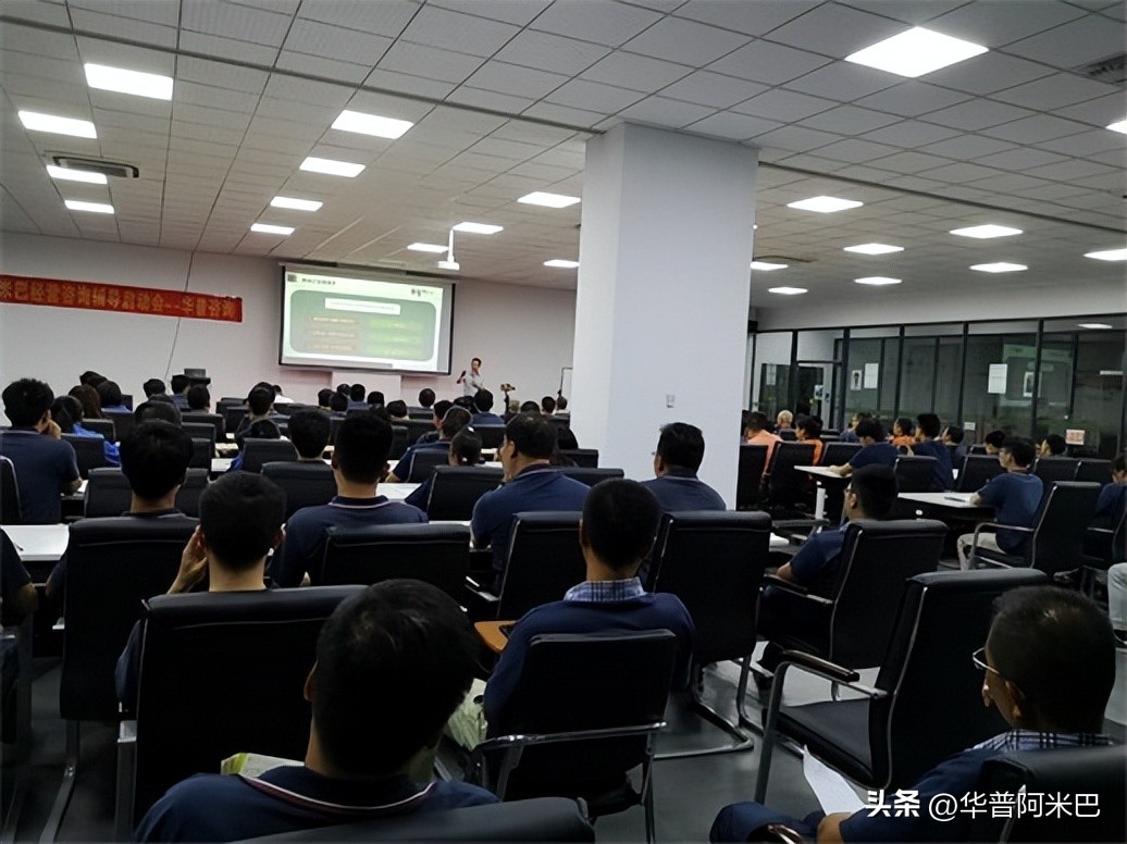 阿米巴经营业绩分析报告案例,阿米巴经营案例解析