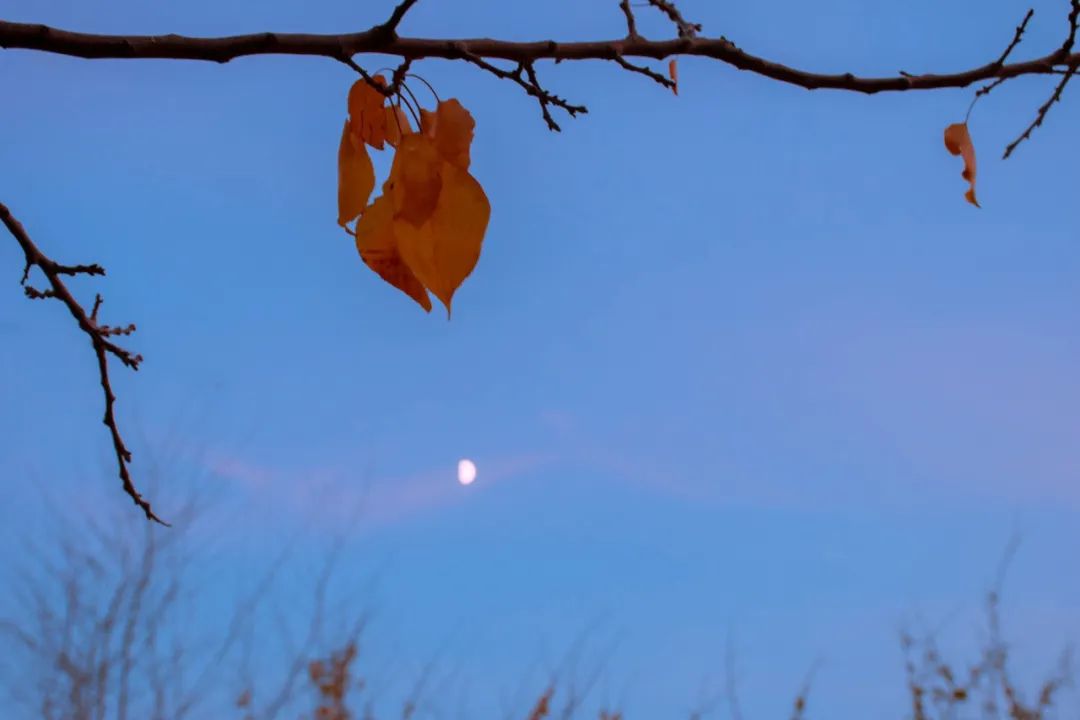 感悟人生夜深人静的经典诗词,此生必读的8首时光诗词