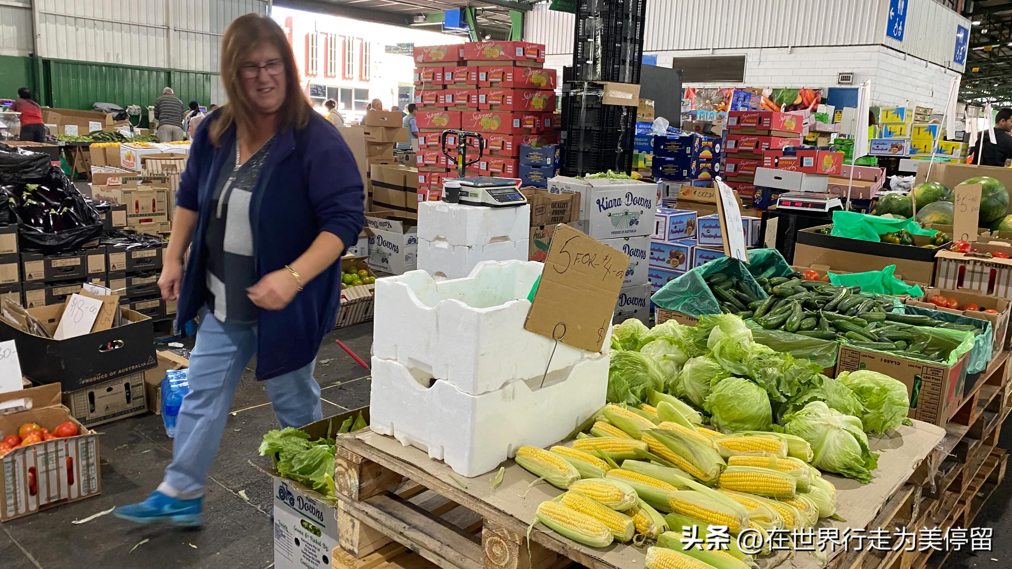 悉尼最大的蔬菜批发市场,悉尼蔬菜市场