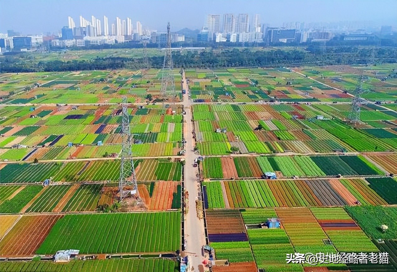 城镇化率最低的大城市,超大城市的城镇化率