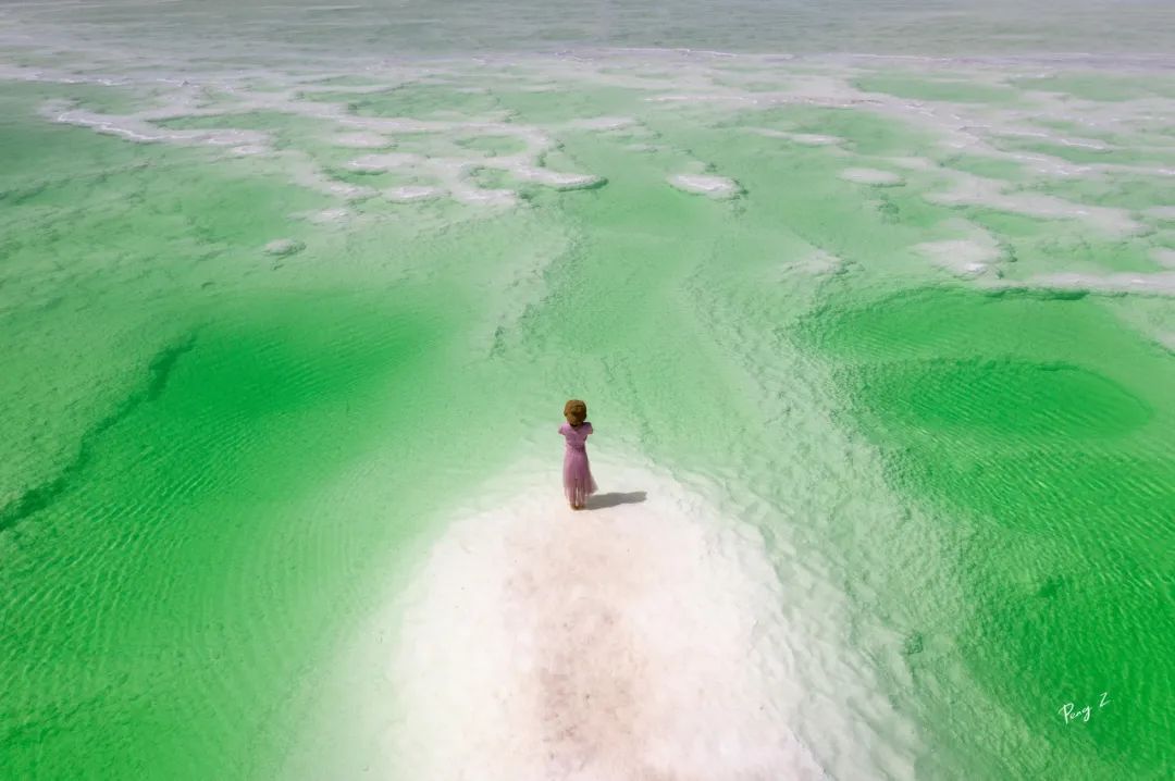 夏天哪里看油菜花最美,夏天去哪里看油菜花最好