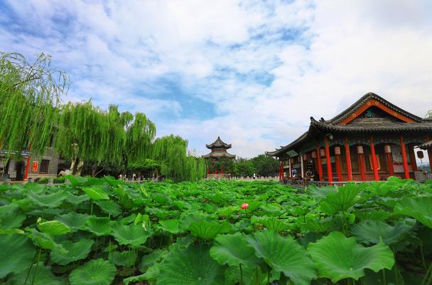 济南夜晚最美网红打卡地,济南周末好去处网红打卡点