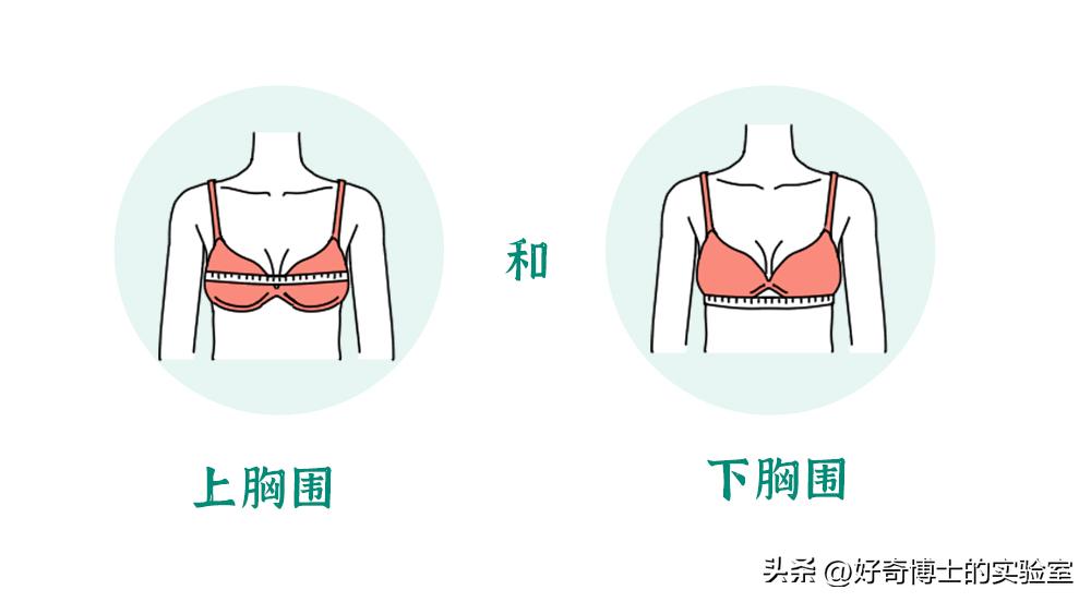 内衣肩带老滑肩,胖女士内衣肩带容易掉