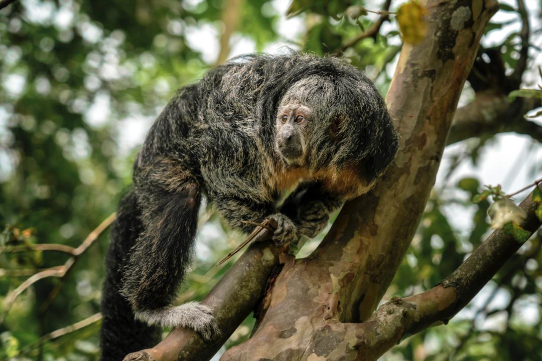 去神秘小岛探险,去神秘岛探险视频