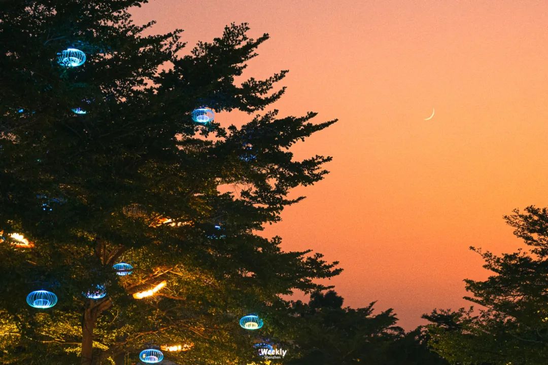 深圳欢乐谷游乐园,深圳十大必去游乐园