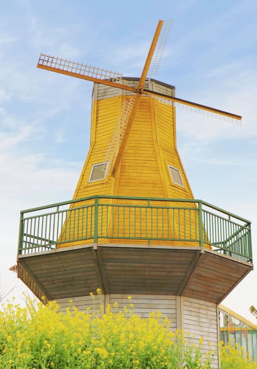 四川哪里可以采摘樱桃,成都周边摘桃攻略