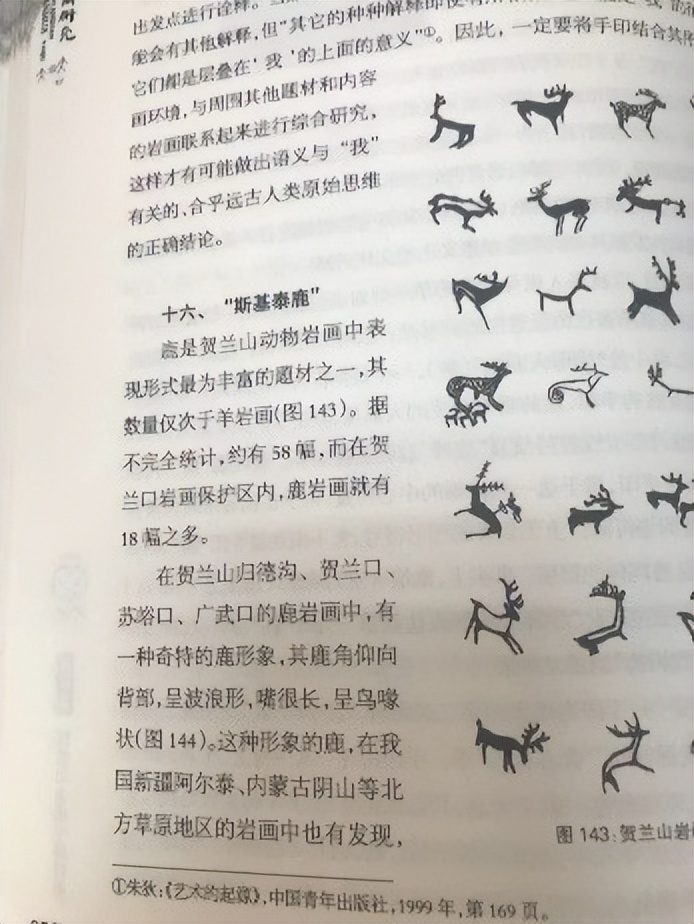 人类起源新说,人类起源新论完整版