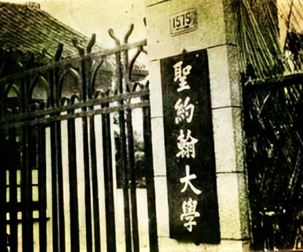 香港教父系列电影,香港教父经典电影