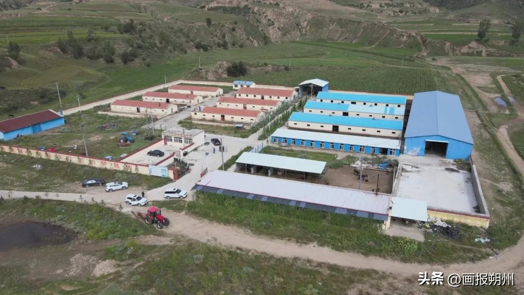 小毛驴赚钱,小毛驴致富路线