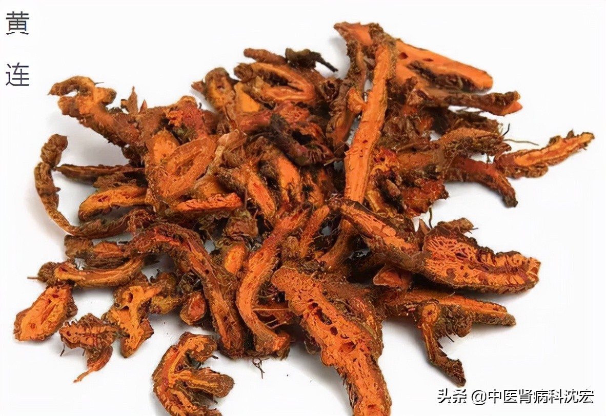 名方左金丸治胃病，只有2味药，胃酸、胃胀、胃痛，悄悄不见