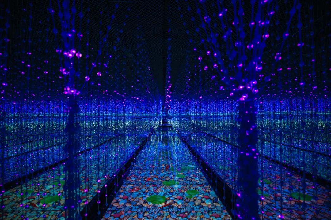 金华适合大学生旅游的地方,金华9月最值得去的地方