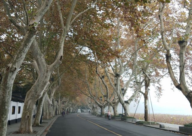 杭州周边赏秋好去处,杭州赏秋最佳攻略