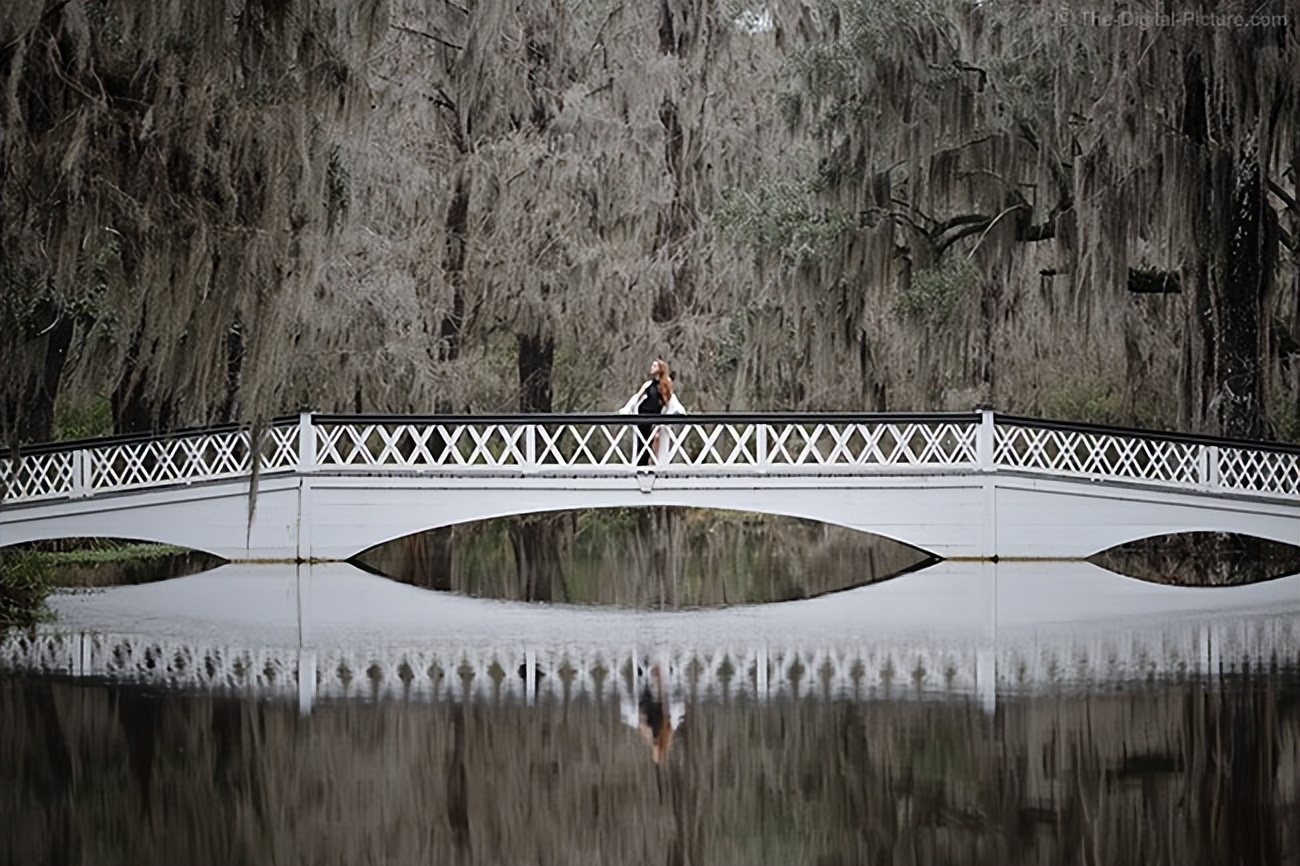 浣宠兘eosr8娣卞害娴嬭瘎,浣宠兘eosr8鐢昏川娆ｈ祻