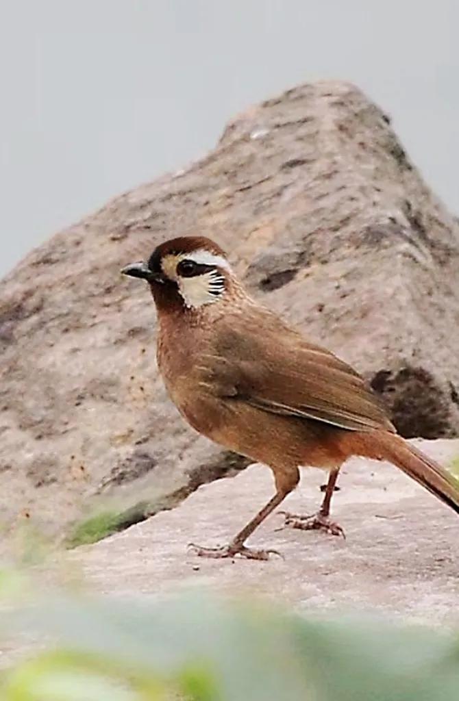上海国际汽车城安亭,上海市嘉定区安亭国际汽车城