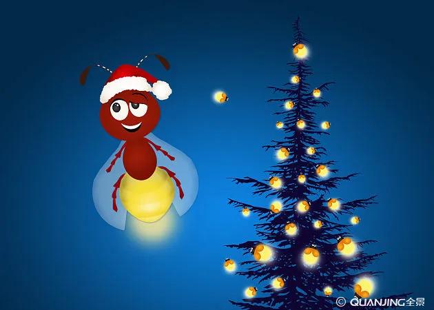 萤火虫的秘密免费观看,萤火虫的秘密介绍