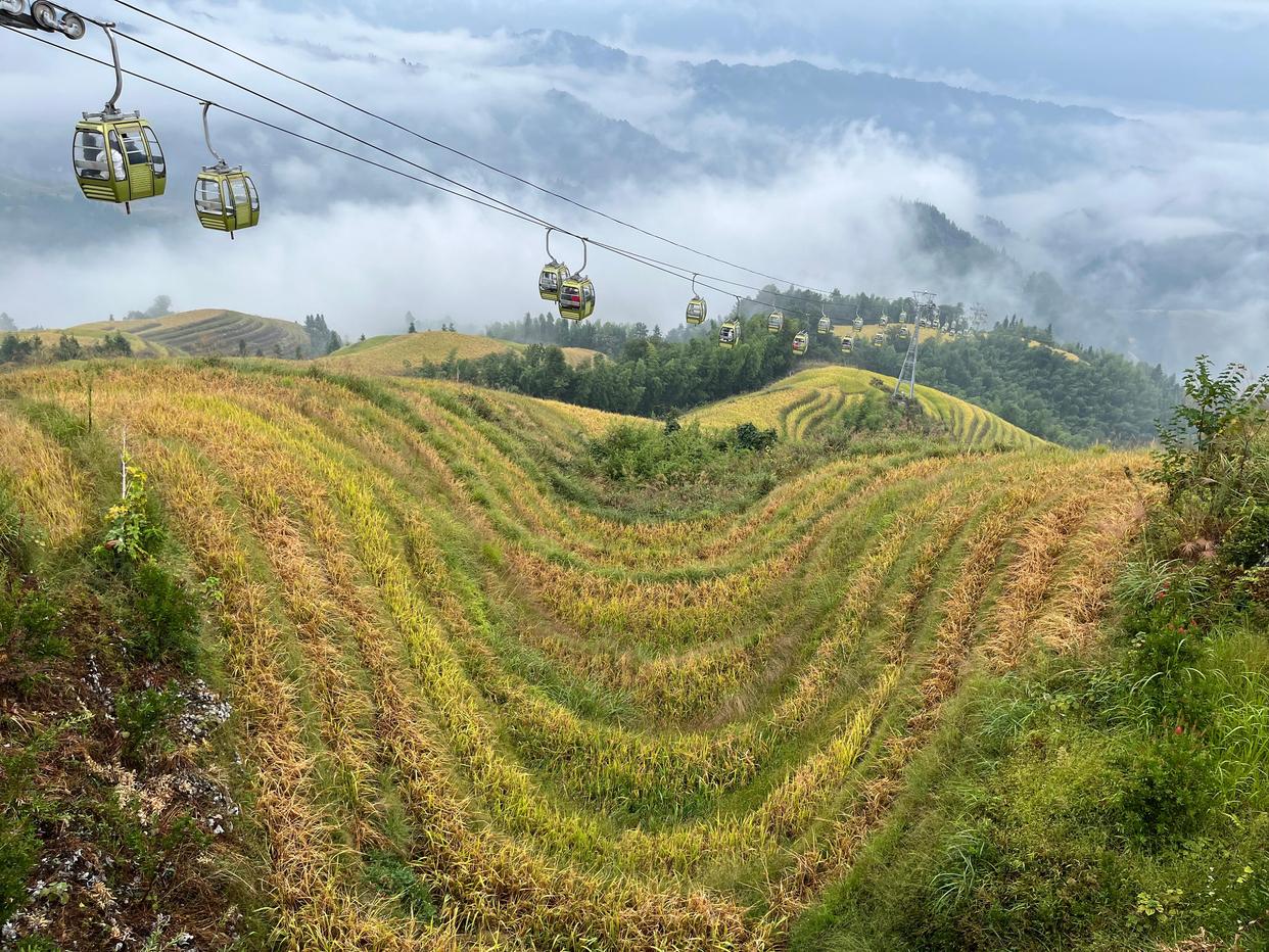 龙脊梯田云雾缭绕恍如仙境,云雾中的龙脊梯田