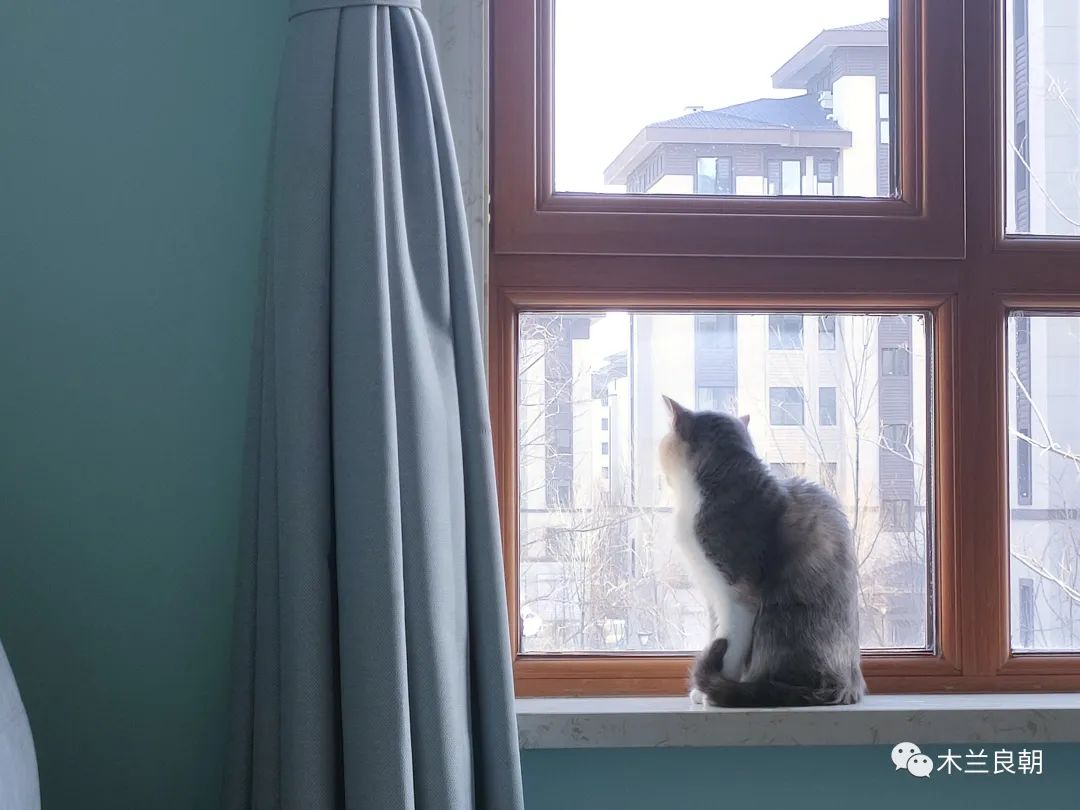 亲爱的大白我想对您说,亲爱的大白