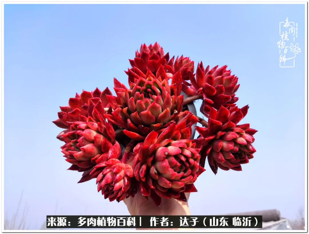 活在当下珍惜眼前平凡的生活,活在当下感慨万千