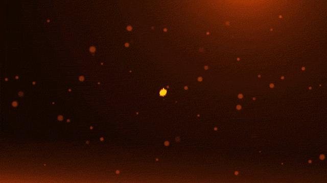 庄浪县中考体育考试,庄浪中考成绩查询时间