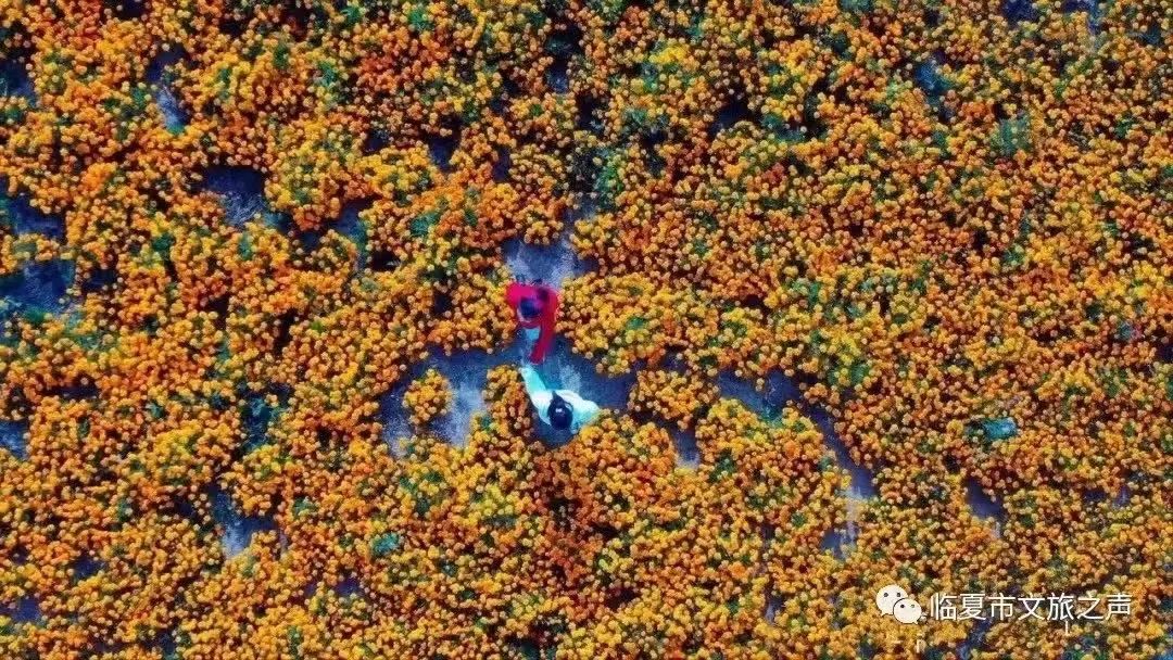 提到贵州你的第一印象是什么,提到甘肃的第一印象是什么