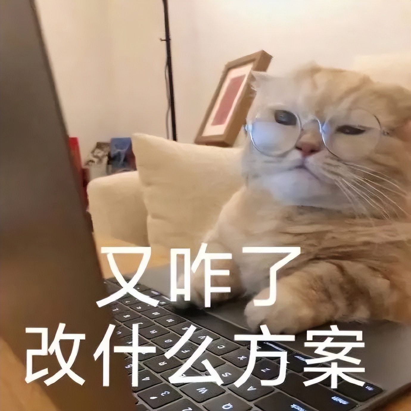 高校专项入围了怎么填志愿,填报志愿深圳高校等你来