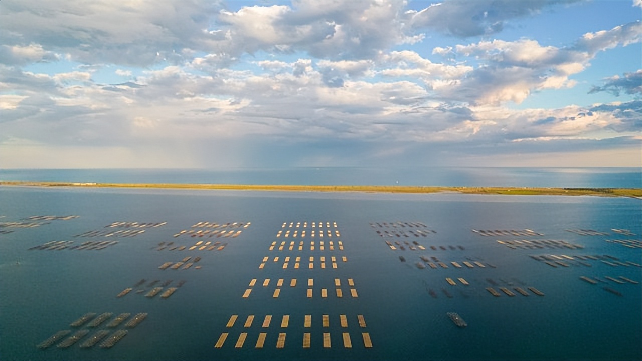 哪里有网箱养殖许氏平鲉,许氏平鲉养殖