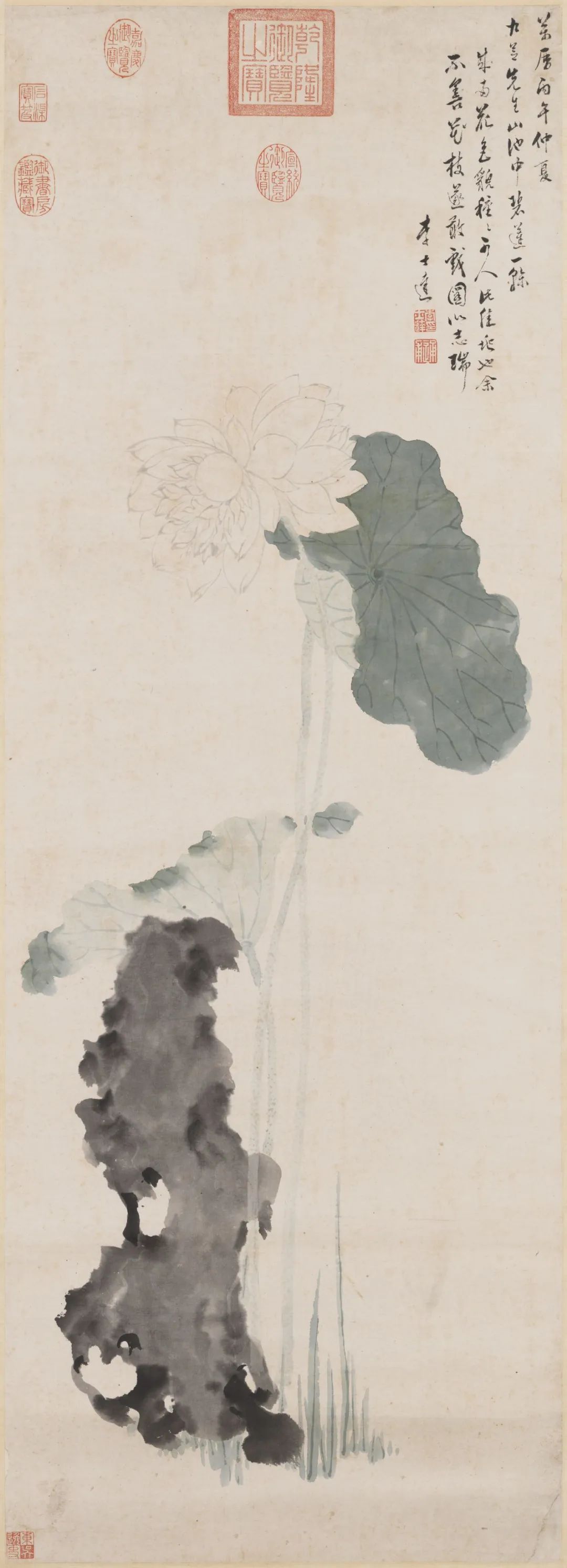 慕容看世界的视频,慕容看世界所有视频