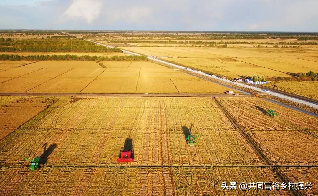 世界十大最顶尖的农产品强国,世界十大新型农业产品