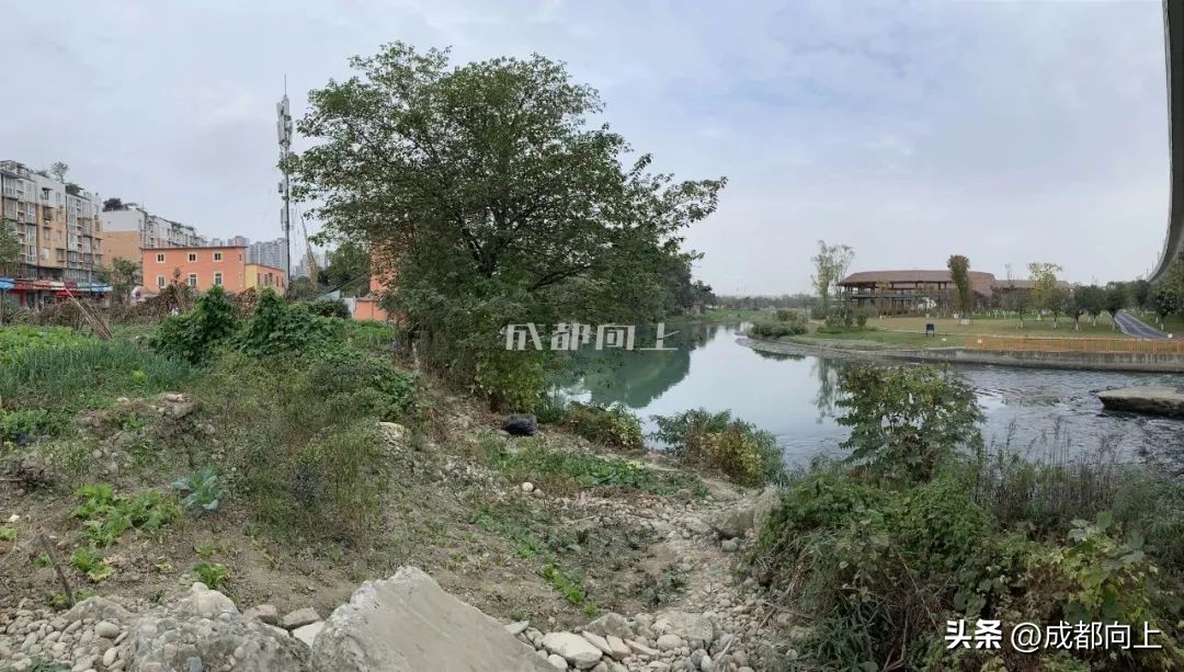 马家寺交通拥堵,双流马家寺现状