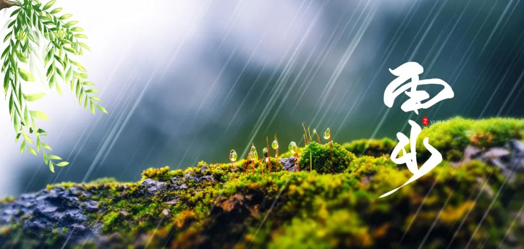 今日雨水现代诗词,雨的诗词最经典