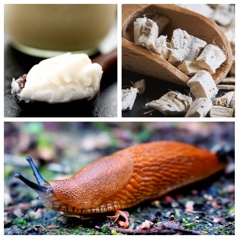 茜茜公主真的美吗,茜茜公主绝美造型