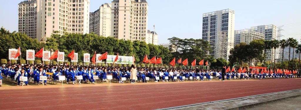 虎虎生风开新局聚力笃行向未来,虎虎生风迎新春