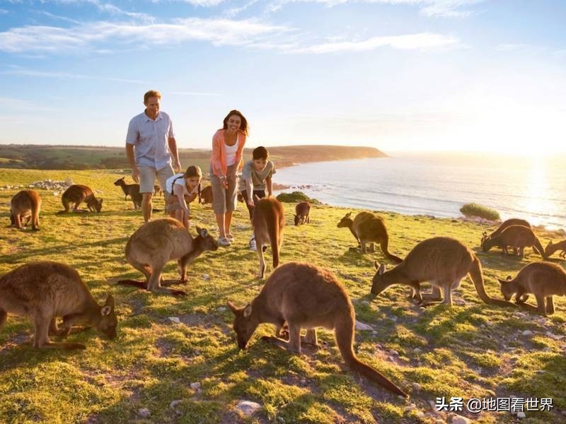 澳大利亚为什么是一个有趣的国家,每天了解一个国家澳大利亚