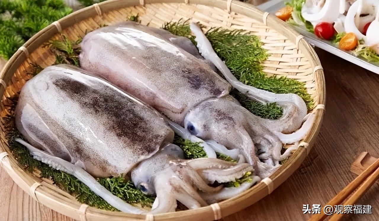 诏安秋天吃什么海鲜,福建各种海鲜图片大全