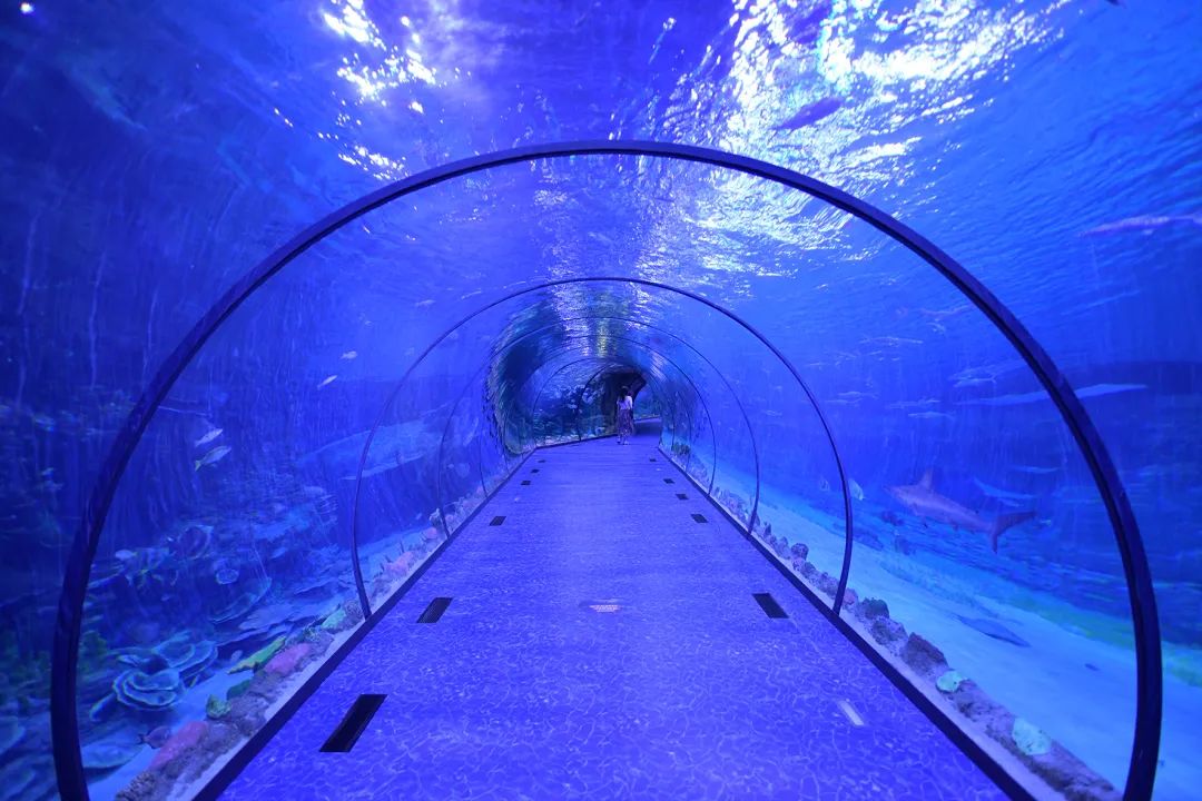 V世界｜夏天，在阿布扎比的11个“极致”体验