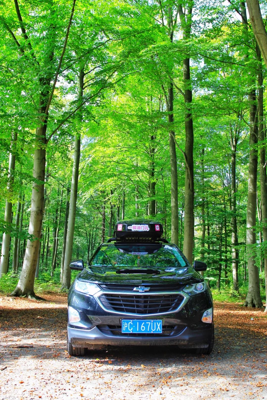 开车去欧洲的路上视频,开车去欧洲的完整视频