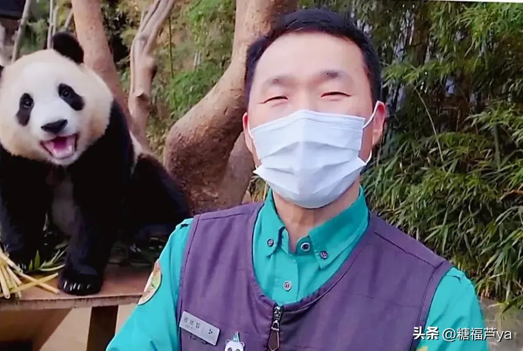 那些证明福宝是人的证据——毛皮大衣下是个小人精