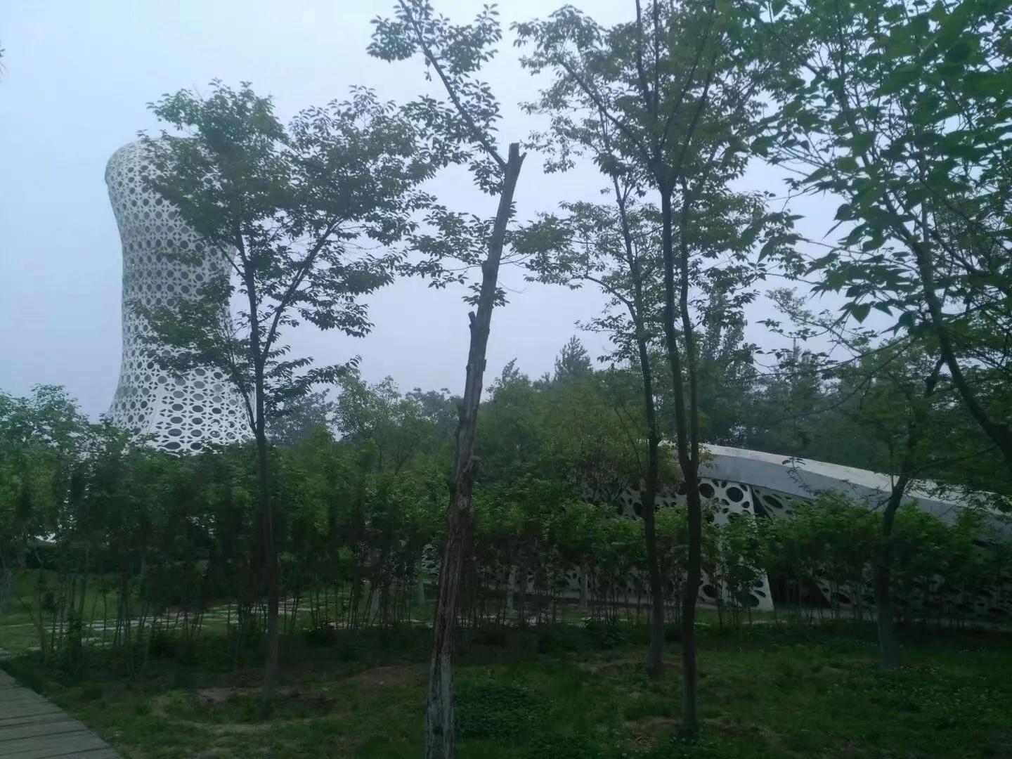 你对秦腔戏曲有什么新的认识,秦腔语言鉴赏札记