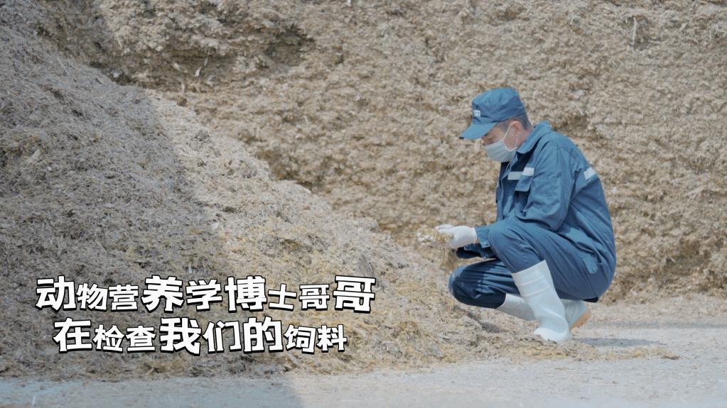 万家宝娟姗牛的自我介绍