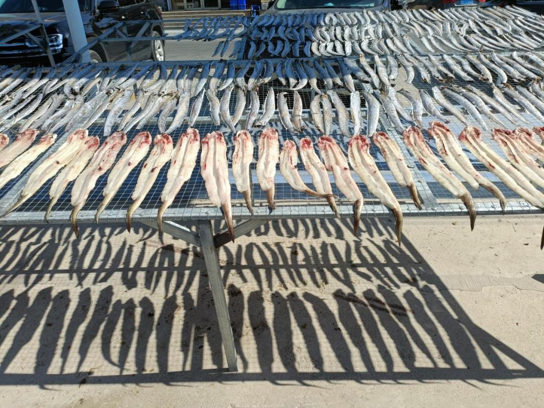 深入研究了青岛海鲜市场后，我重新理解了可持续的食物系统