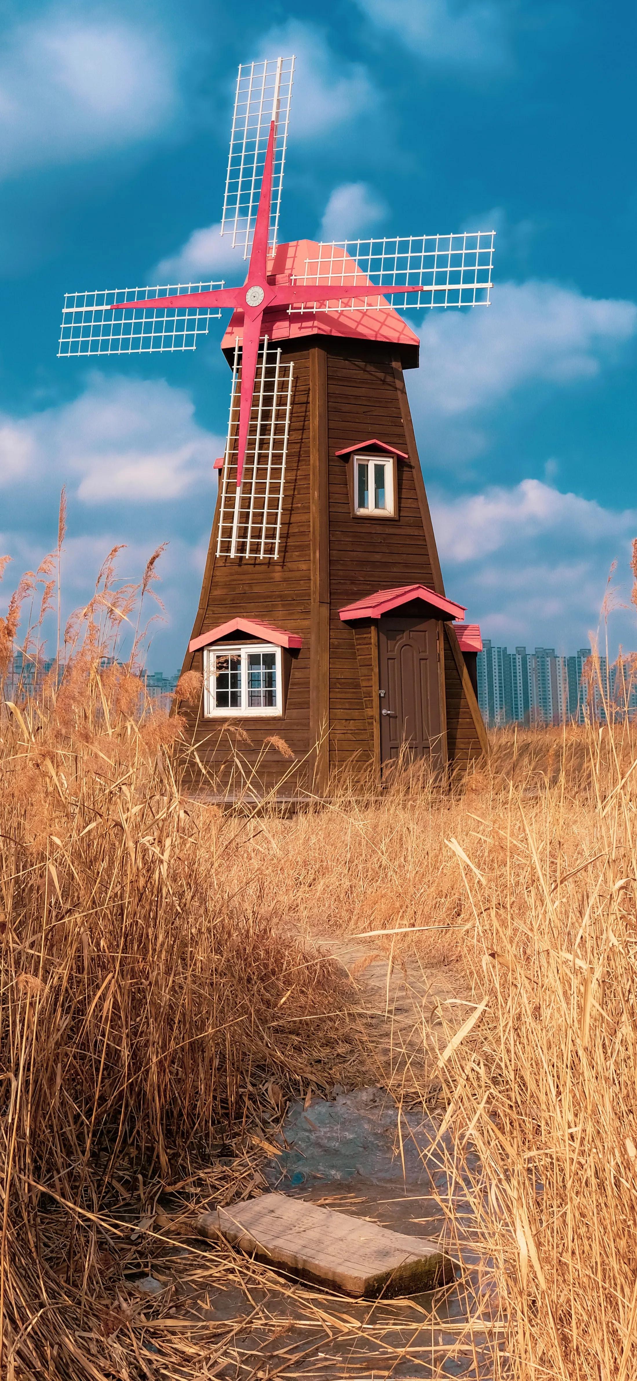 高清全面屏手机壁纸,米奇壁纸高清全面屏