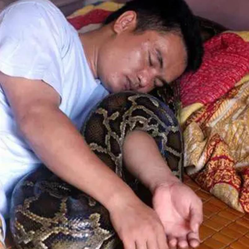 巨蟒报恩当保姆,96年海南巨蟒