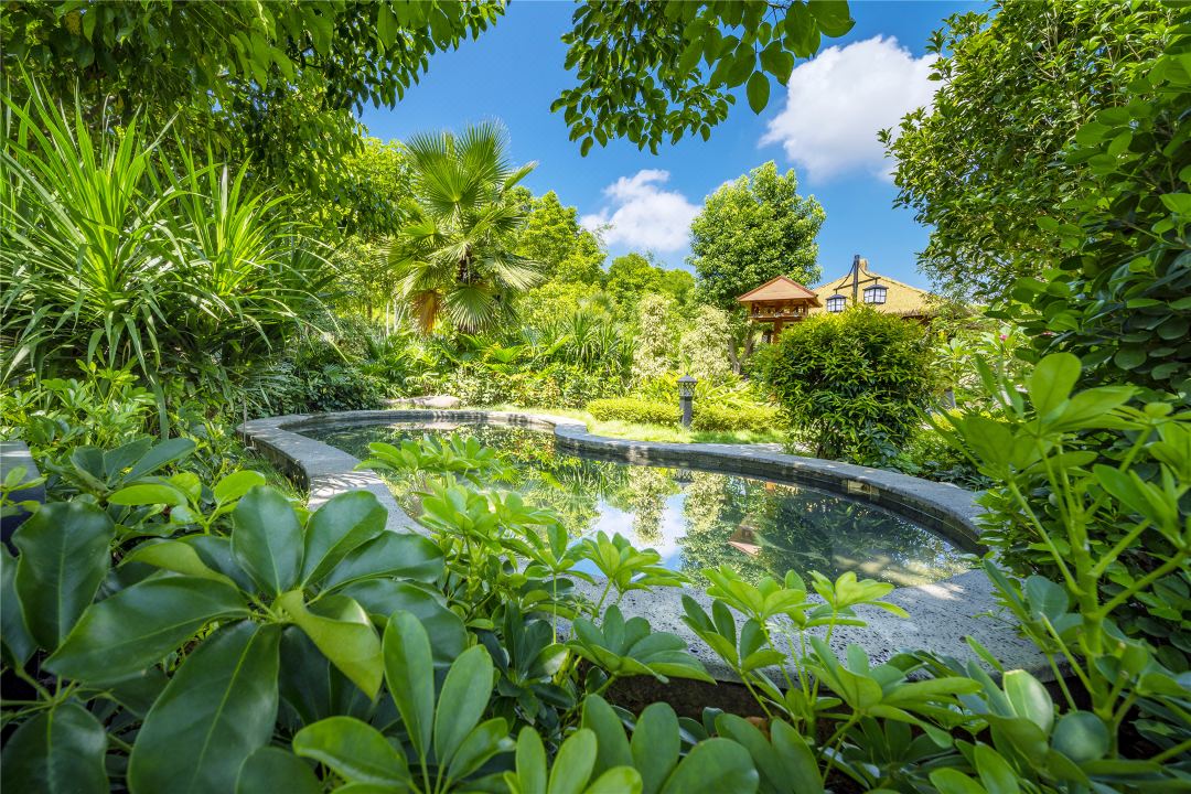 广东温泉宾馆温泉介绍,广东温泉酒店的温泉哪几家是真的