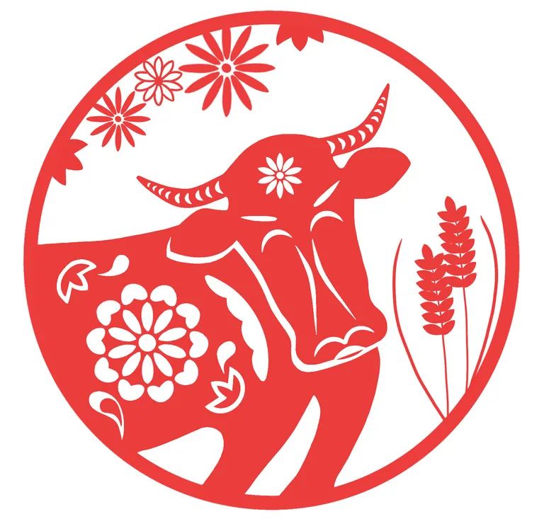 教你剪纸图片,全民艺术普及零基础